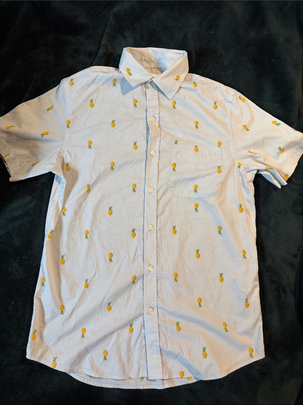 Light Blue Pineapple Print Button Up Shirt